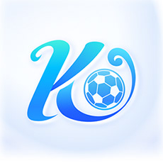 开云·体育(中国)官方网站_KAIYUN SPORT
