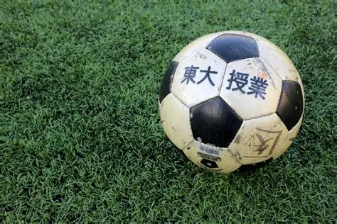 开云·体育(中国)官方网站_KAIYUN SPORT