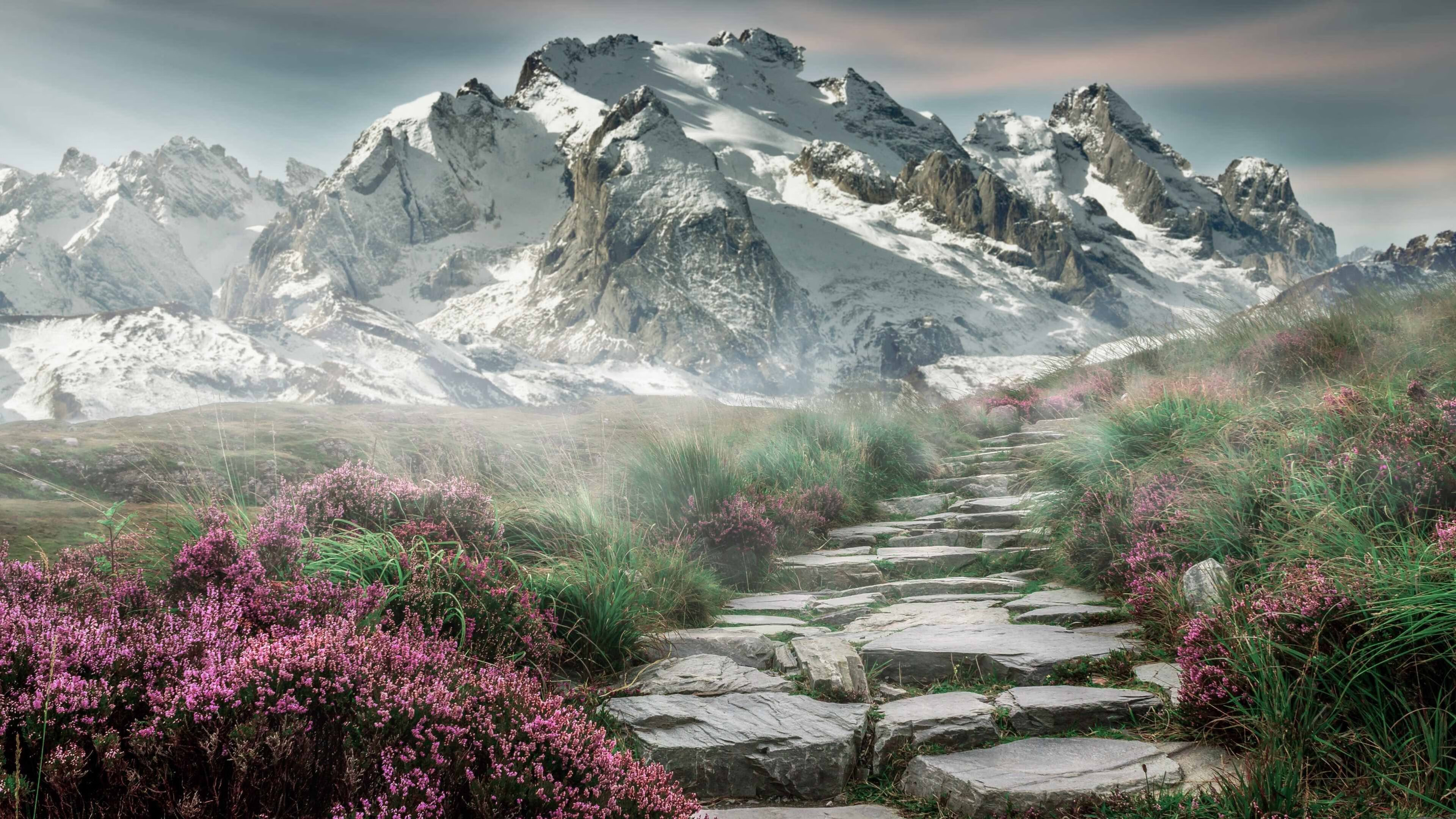 体育新闻中心上线体育赛事多角度直播平台，体育新闻现场直播