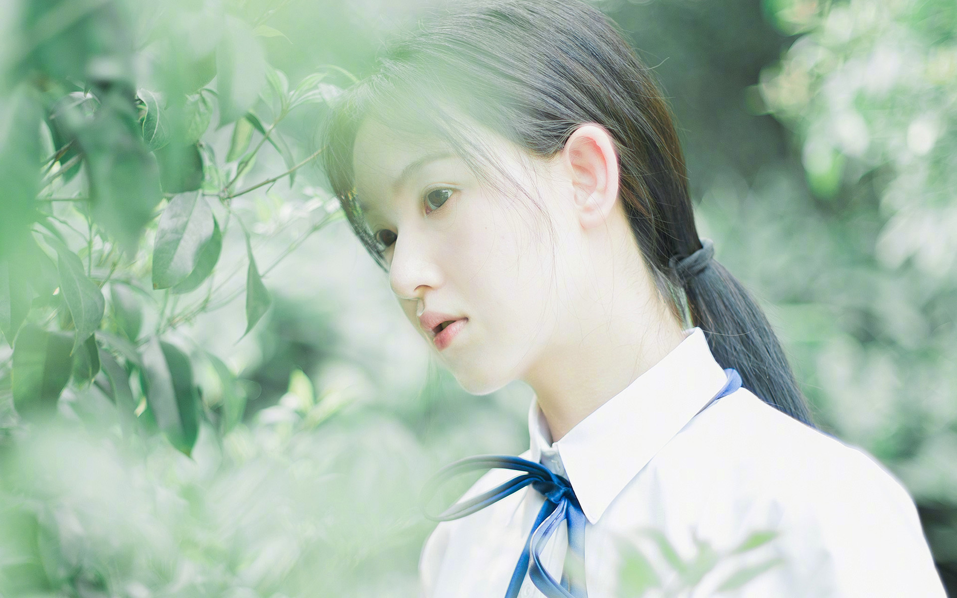 开云体育足球-体育明星形象代言效果显著，体育明星形象代言效果显著吗