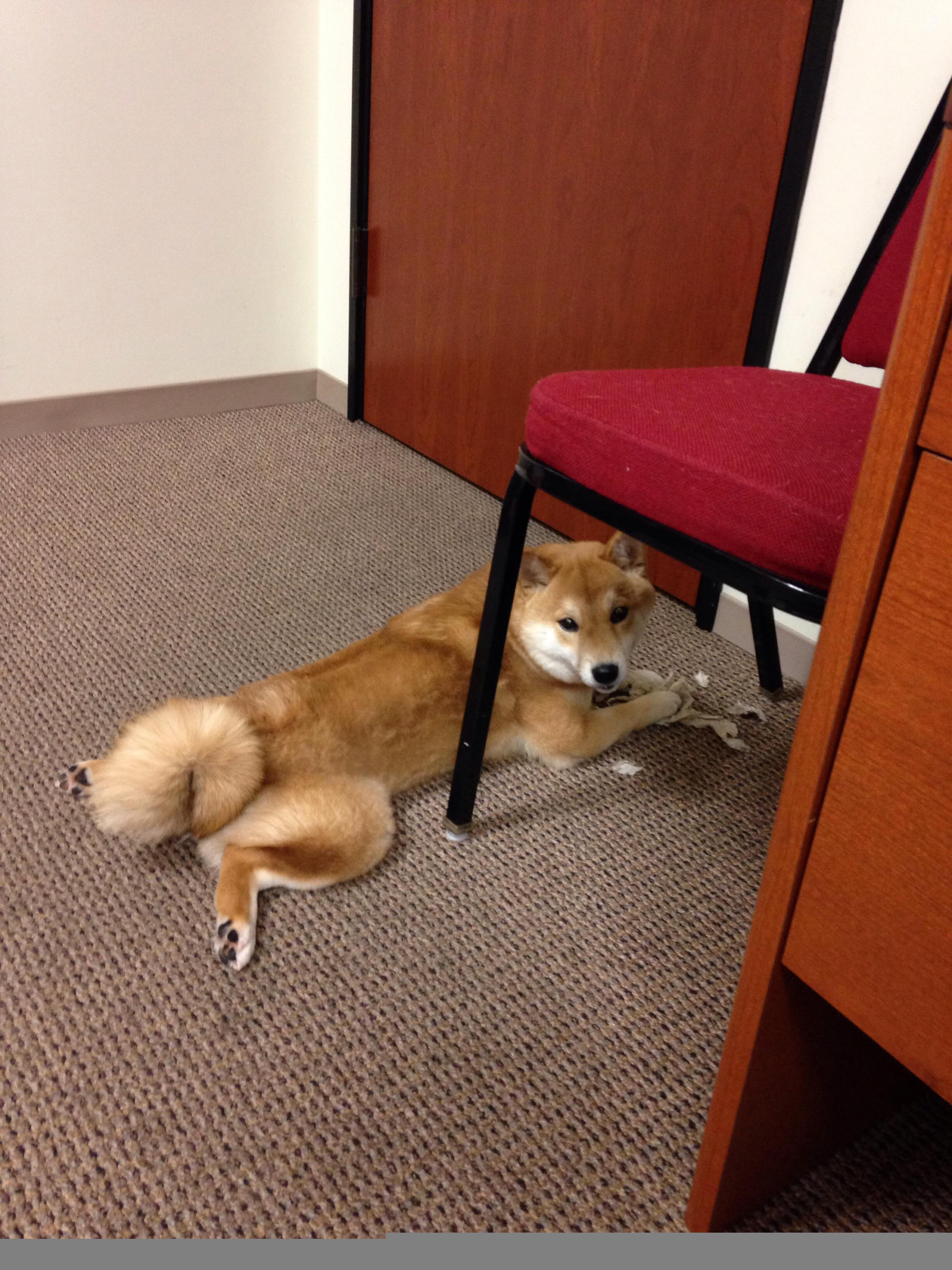 开云体育在线入口-切尔西防线严密，封锁PSG锋线策略，slp切尔西