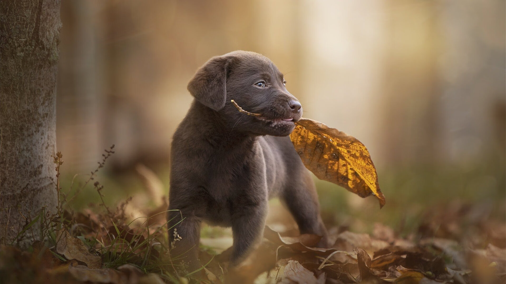 kaiyun开云体育-呼吸节奏与心率数据同步分析，呼吸频率、节律变化的临床意义有哪些