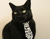 呼吸节奏与心率数据同步分析，呼吸频率、节律变化的临床意义有哪些