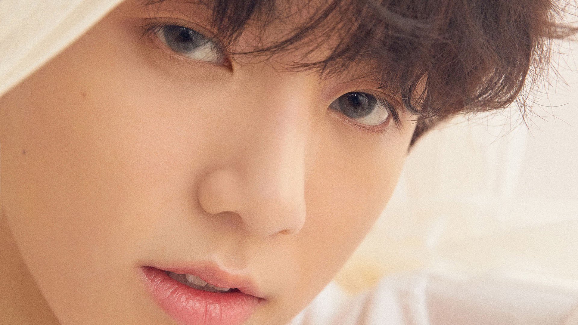 张雨霏vs德雷塞尔姐妹 蝶泳巅峰对决,张雨霏将继续冲击200米蝶泳冠军