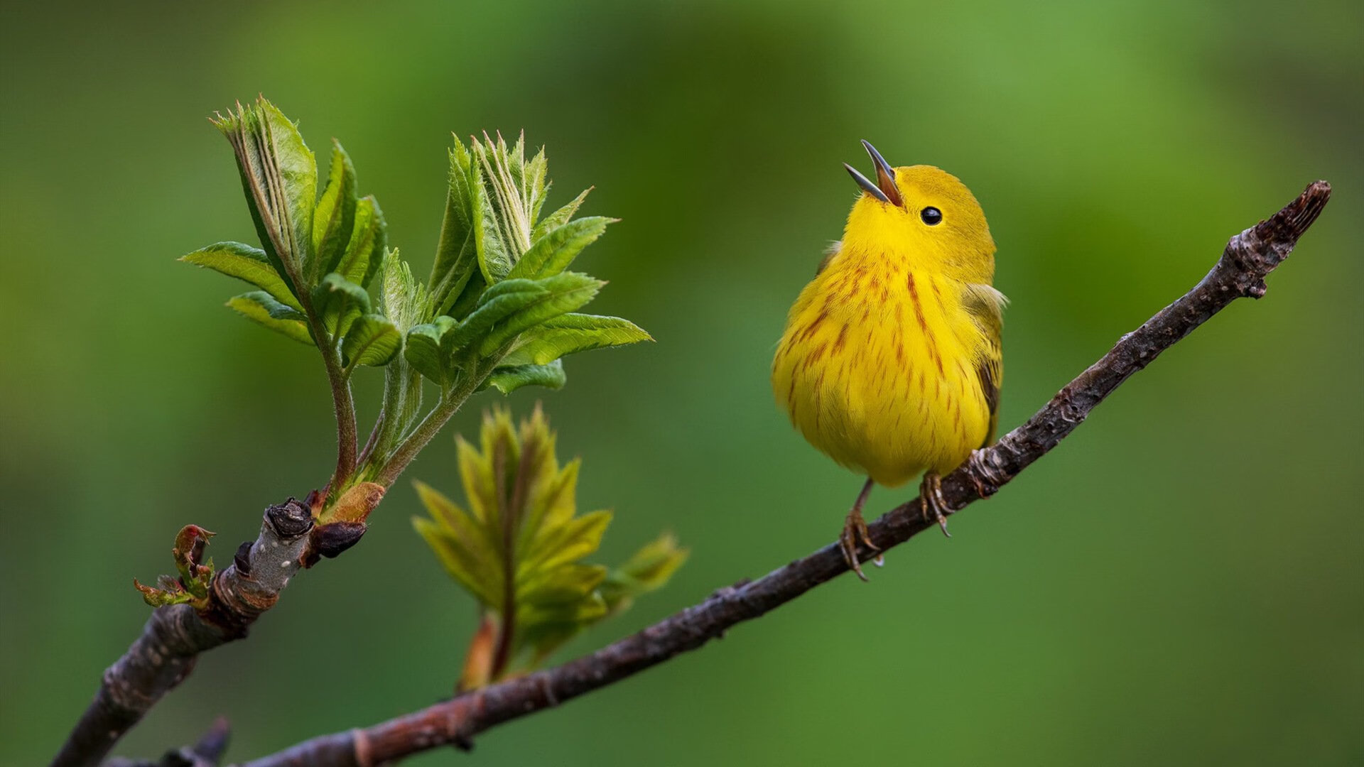慢节奏阵地战是否更利于压缩进攻回合数,慢节奏rts