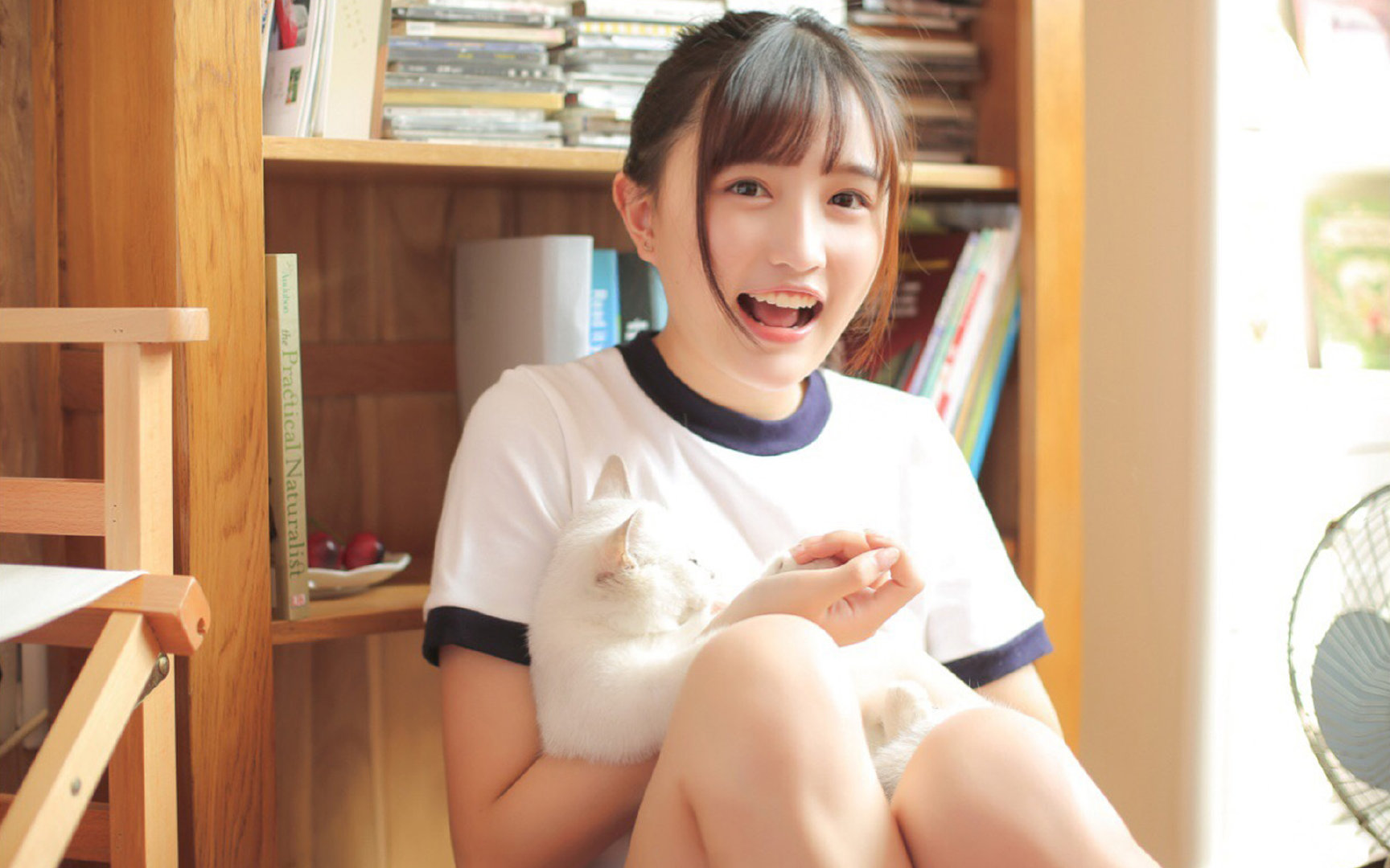 新加坡队赛制评析:赛制如何帮助提升球员心理素质与比赛稳定性