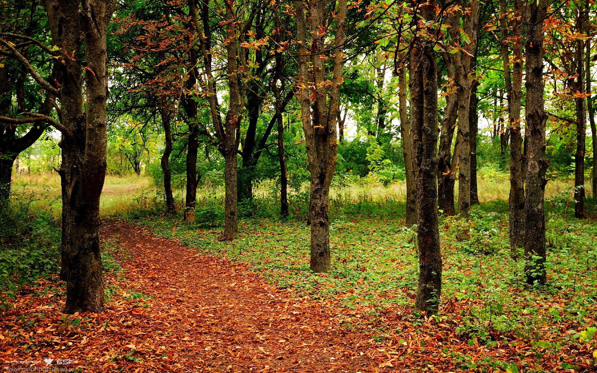 防守强度成制胜关键团队协作成基石,防守工作