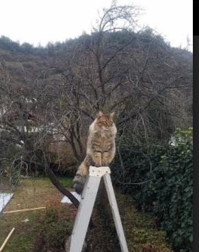 高压防守失败后球队是否更容易失去比赛主动权,高压防护方案