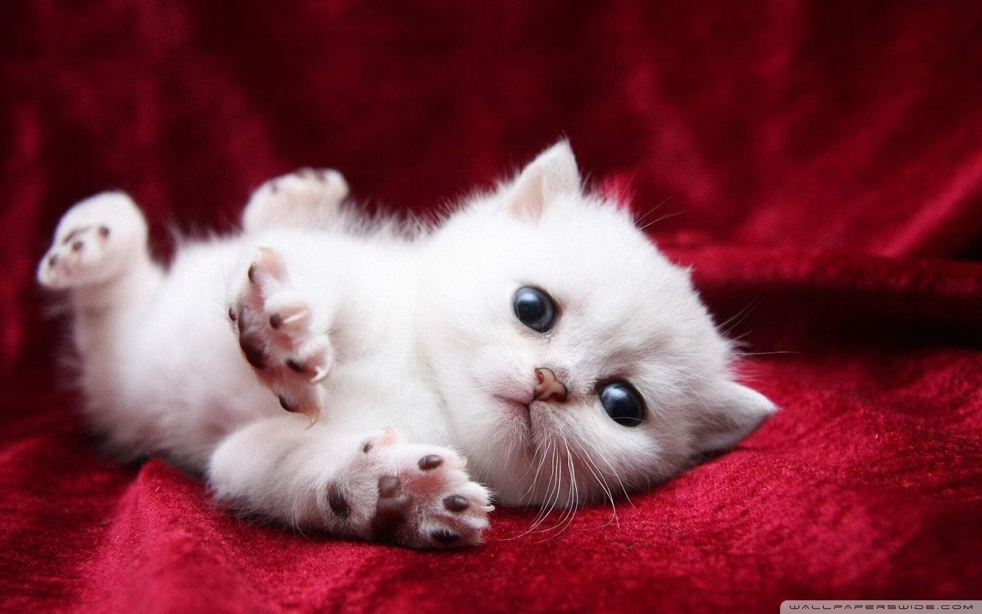 开云体育app下载-76人推出互动问答拉近球员与球迷距离，76人球队