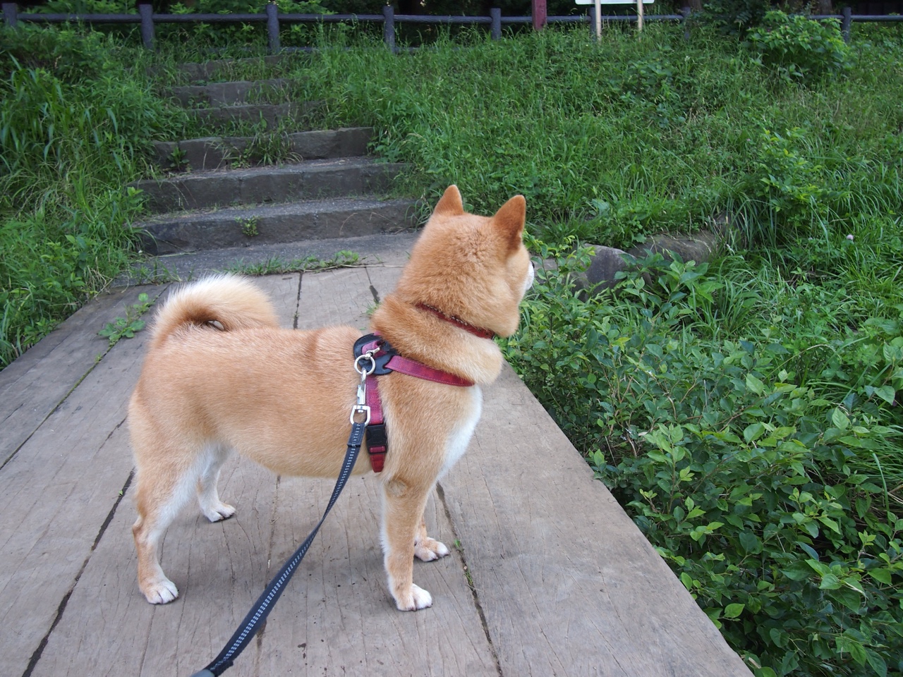 76人推出互动问答拉近球员与球迷距离,76人球队