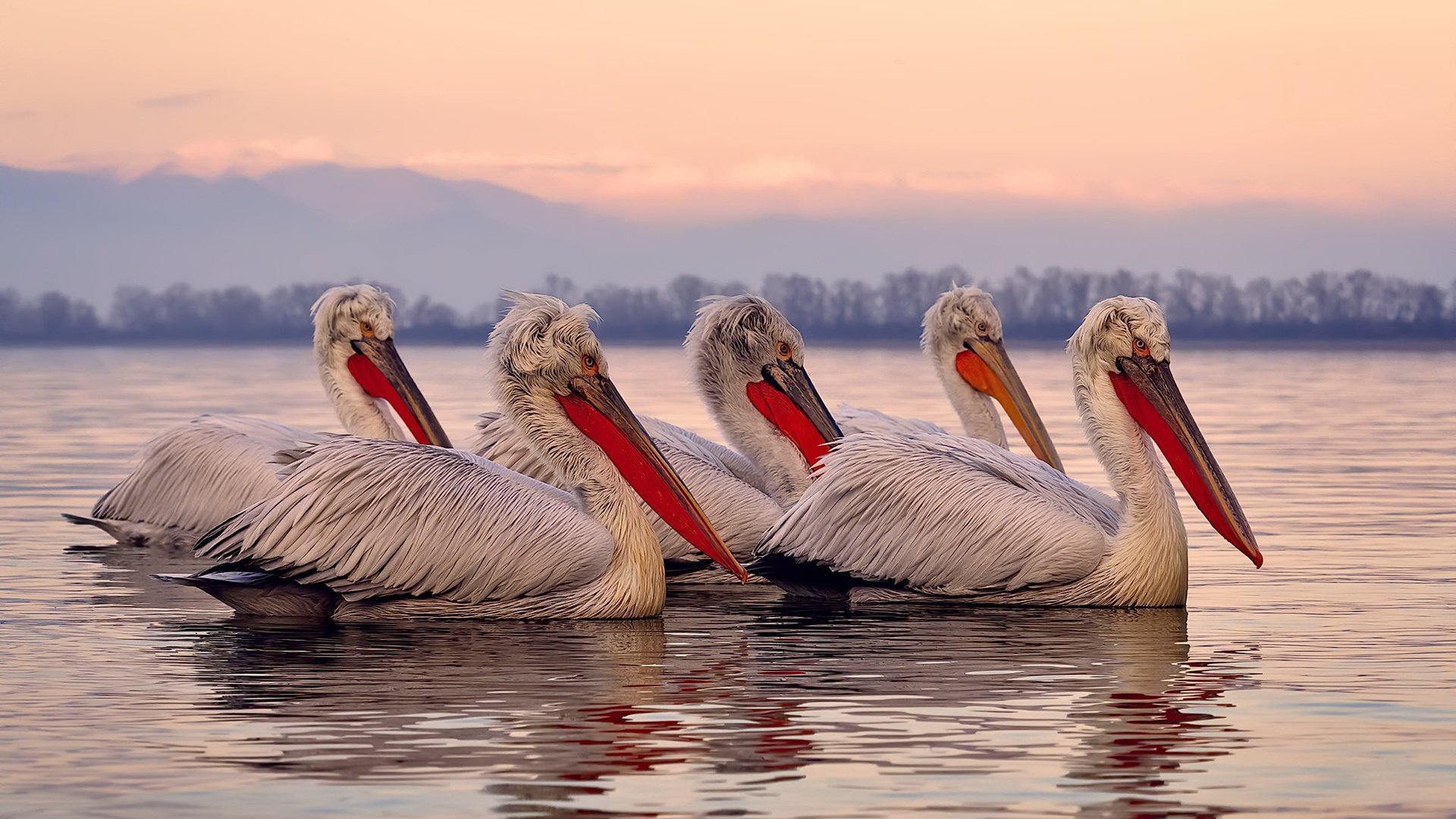 中超引入远程战术分析平台支持教练实时决策,中超远射排名