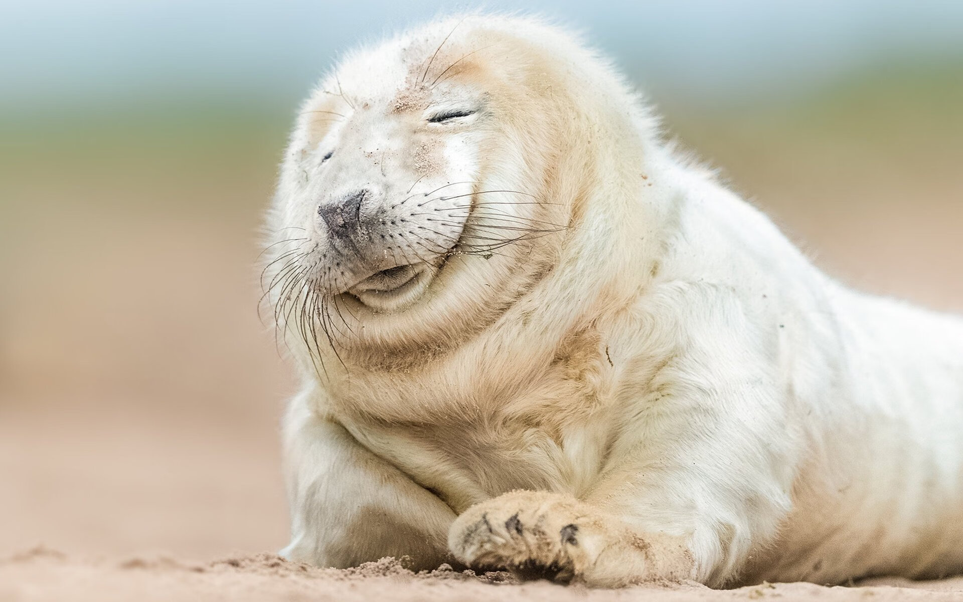 开云体育官网app-德甲瞬间突破：速度与技术的完美结合！，德甲最高时速