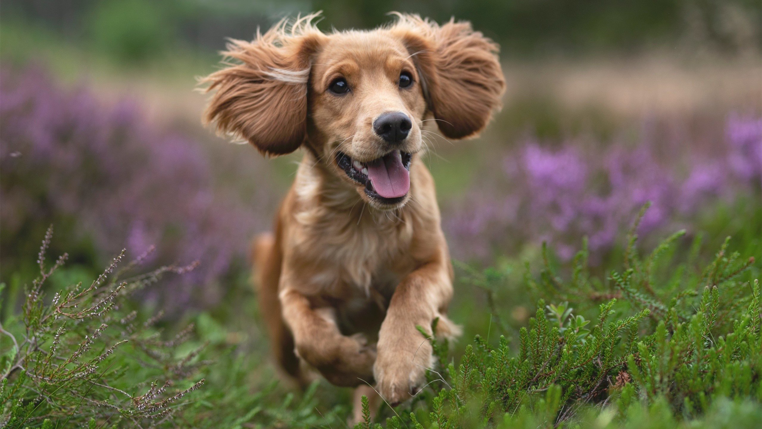教练临场决策精准替补球员登场三分钟制造关键机会,教练员替补队员的技术犯规应